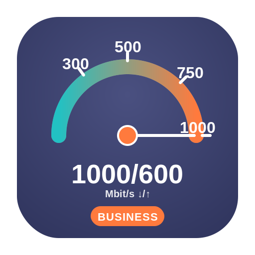 Tarif 1000/600 Mbit/s